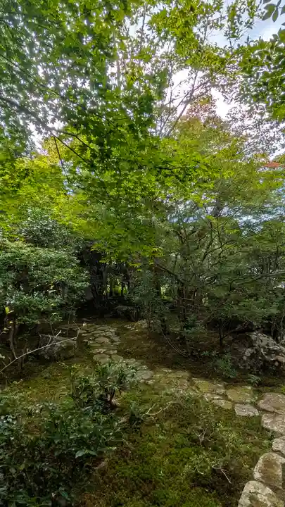 桂徳院(京都府)