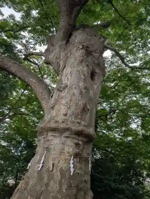 愛宕神社(福島県)
