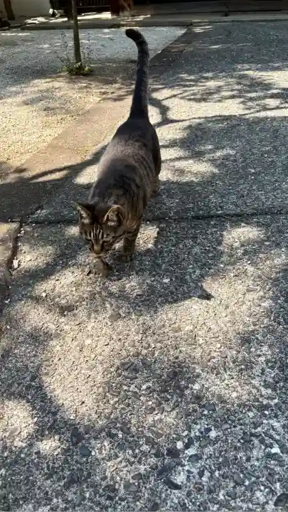 恵林寺(山梨県)