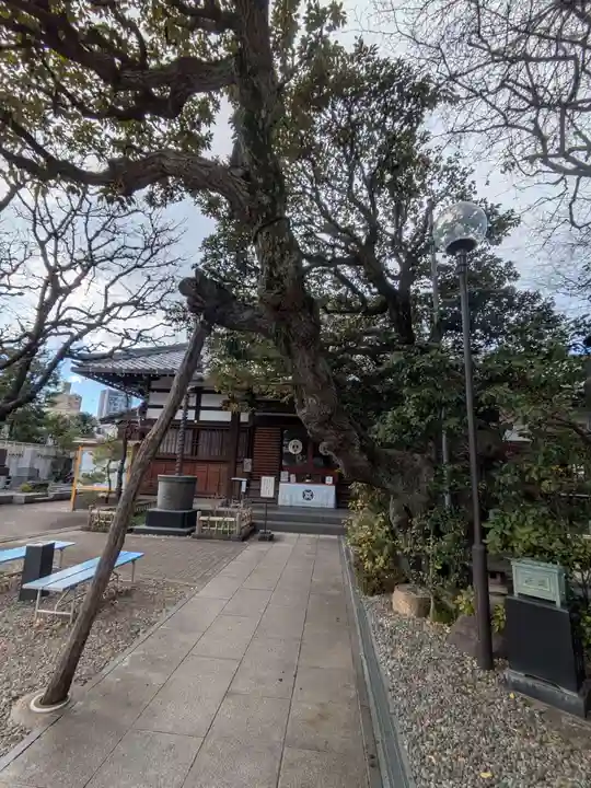 永稱寺(東京都)