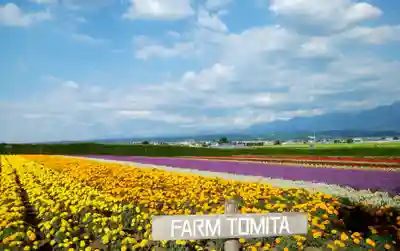 中富良野神社の周辺
