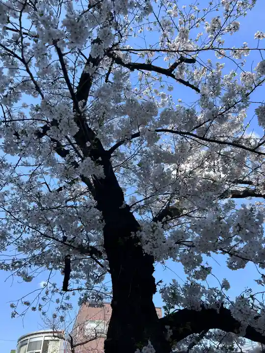 上目黒氷川神社(東京都)