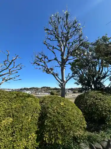 宝帒寺の{uncategorized: "未分類", other: "その他", undefined: "問題あり", building: "その他建物", grave: "お墓", sacred_gate: "鳥居", guardian: "狛犬", statue: "像", buddha: "仏像", history: "歴史", nature: "自然", garden: "庭園", animal: "動物", pagoda: "塔", temizu: "手水舎", mountain_gate: "山門・神門", sanctuary: "本殿・本堂", subordinate: "末社・摂社", art: "芸術", scenery: "景色", jizo: "地蔵", ema: "絵馬", goshuin: "御朱印", omikuji: "おみくじ", items: "授与品その他", amulet: "お守り", goshuincho: "御朱印帳", eats: "食事", festival: "お祭り", votive_dance: "神楽", shichigosan: "七五三参", wedding: "結婚式", experience: "体験その他", initially: "初詣", around: "周辺", anti_infection: "感染症対策"}