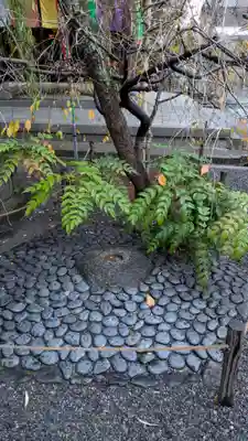 頂法寺（六角堂）(京都府)