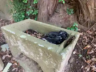 横田神社の手水舎