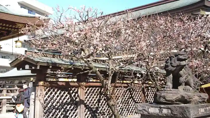 湯島天満宮の自然