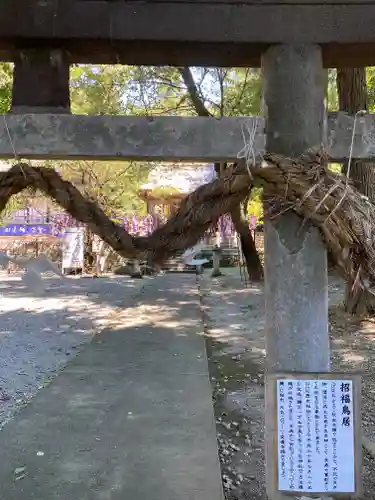 下野 星宮神社の鳥居