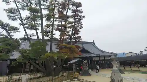 大願寺の建物その他