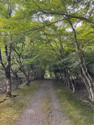金剛院(京都府)