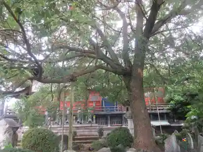 定願寺(栃木県)