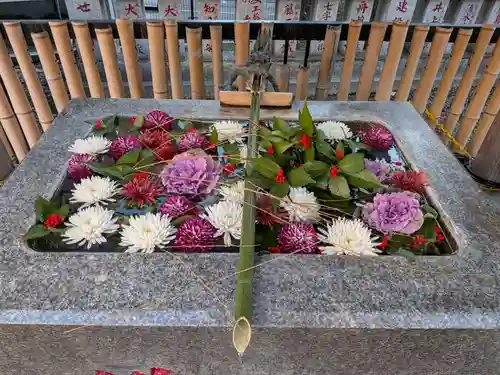 高円寺氷川神社(東京都)