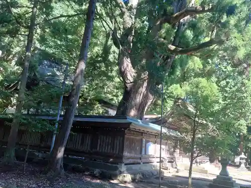 若狭姫神社（若狭彦神社下社）(福井県)
