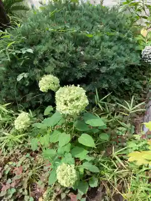 長善寺(神奈川県)