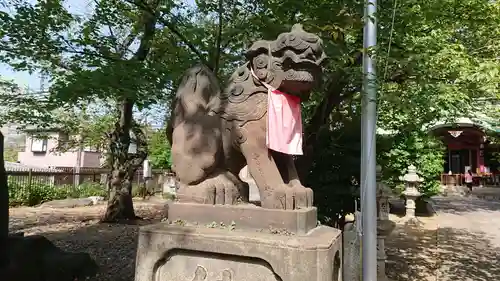 市谷亀岡八幡宮の狛犬