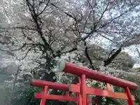 狸穴稲荷社(東京都)