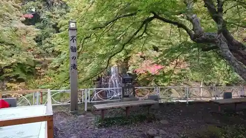 中野神社の自然