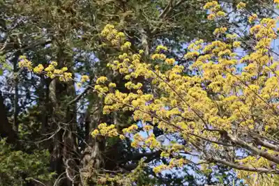豊景神社の自然