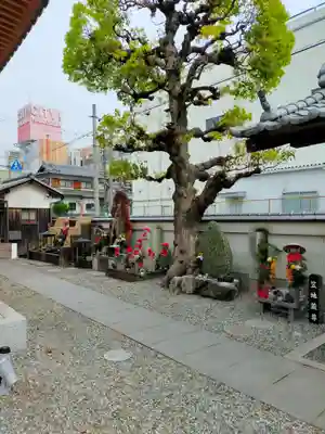 高野寺(和歌山県)