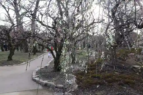 北野天満宮(京都府)