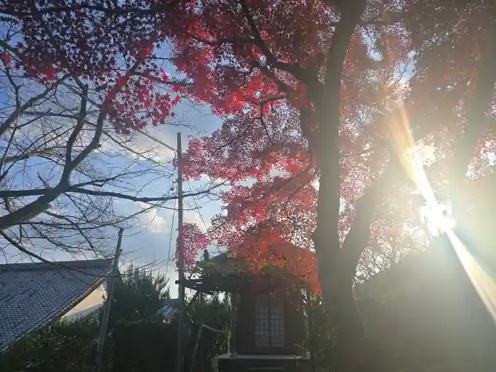 西教寺(滋賀県)