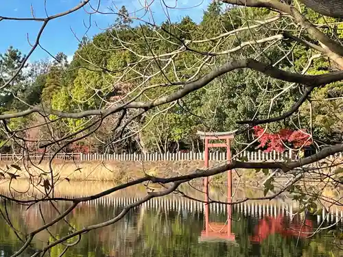 薦神社の鳥居