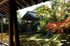 清凉寺の庭園