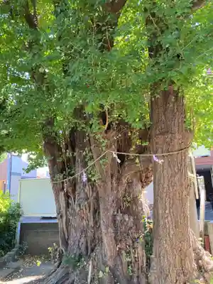 松尾大神(神奈川県)