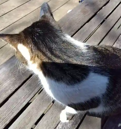 王禅寺(神奈川県)