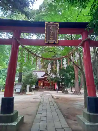 氷川女體神社の鳥居