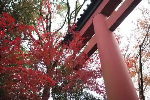 武蔵一宮氷川神社のその他建物