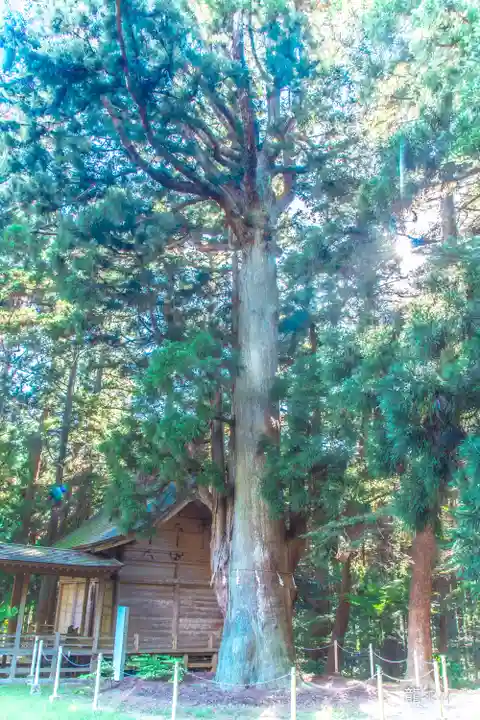 上沼八幡神社(宮城県)