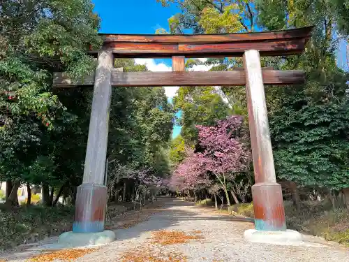 近江神宮の鳥居