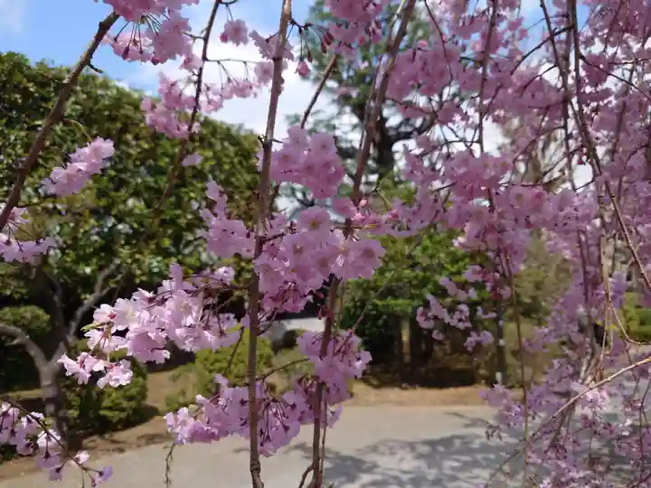 駒込天祖神社(東京都)