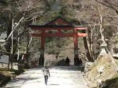 日吉大社の鳥居