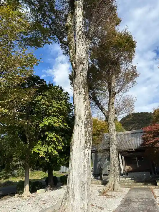 佐味神社(滋賀県)
