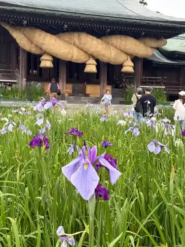 宮地嶽神社(福岡県)