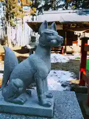 藤沢稲荷神社の狛犬