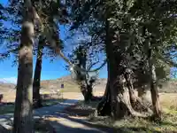 鴨大神御子神主玉神社(茨城県)