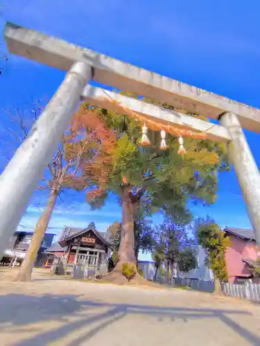 津島社（天王町）の鳥居