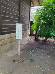 本太氷川神社の建物その他