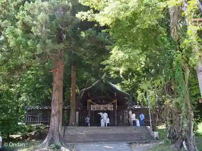 諏訪大社上社前宮(長野県)