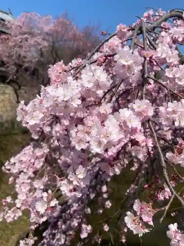 眞田神社の{uncategorized: "未分類", other: "その他", undefined: "問題あり", building: "その他建物", grave: "お墓", sacred_gate: "鳥居", guardian: "狛犬", statue: "像", buddha: "仏像", history: "歴史", nature: "自然", garden: "庭園", animal: "動物", pagoda: "塔", temizu: "手水舎", mountain_gate: "山門・神門", sanctuary: "本殿・本堂", subordinate: "末社・摂社", art: "芸術", scenery: "景色", jizo: "地蔵", ema: "絵馬", goshuin: "御朱印", omikuji: "おみくじ", items: "授与品その他", amulet: "お守り", goshuincho: "御朱印帳", eats: "食事", festival: "お祭り", votive_dance: "神楽", shichigosan: "七五三参", wedding: "結婚式", experience: "体験その他", initially: "初詣", around: "周辺", anti_infection: "感染症対策"}