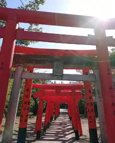 一葉稲荷神社の鳥居