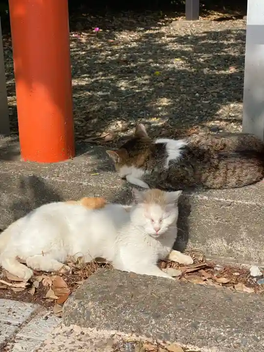 息栖神社(茨城県)