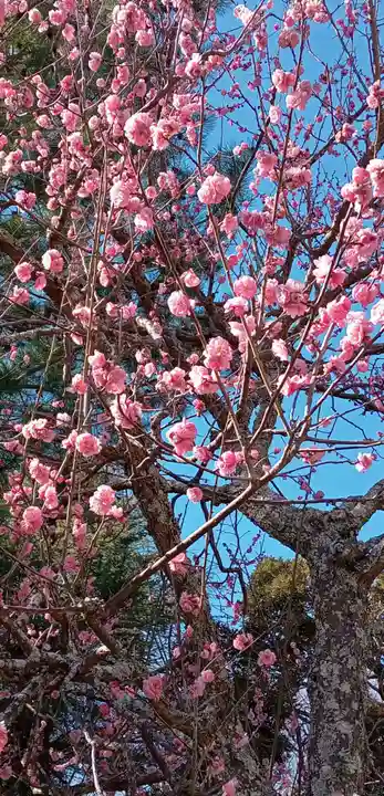 東勝寺宗吾霊堂(千葉県)