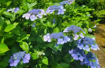 惣河内神社(愛媛県)