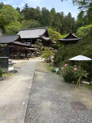 岡寺（龍蓋寺）の{uncategorized: "未分類", other: "その他", undefined: "問題あり", building: "その他建物", grave: "お墓", sacred_gate: "鳥居", guardian: "狛犬", statue: "像", buddha: "仏像", history: "歴史", nature: "自然", garden: "庭園", animal: "動物", pagoda: "塔", temizu: "手水舎", mountain_gate: "山門・神門", sanctuary: "本殿・本堂", subordinate: "末社・摂社", art: "芸術", scenery: "景色", jizo: "地蔵", ema: "絵馬", goshuin: "御朱印", omikuji: "おみくじ", items: "授与品その他", amulet: "お守り", goshuincho: "御朱印帳", eats: "食事", festival: "お祭り", votive_dance: "神楽", shichigosan: "七五三参", wedding: "結婚式", experience: "体験その他", initially: "初詣", around: "周辺", anti_infection: "感染症対策"}