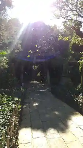 赤坂氷川神社の鳥居