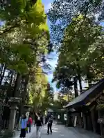 天岩戸神社(宮崎県)