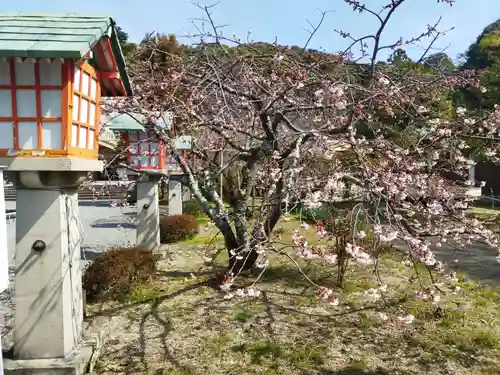 霊山観音(京都府)
